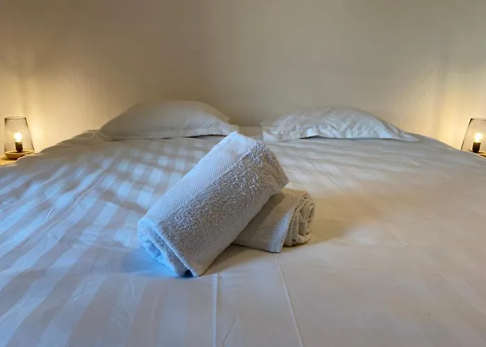 Apartamento Les Cosy De - Urban Jungle - 4 Etoiles Nancy