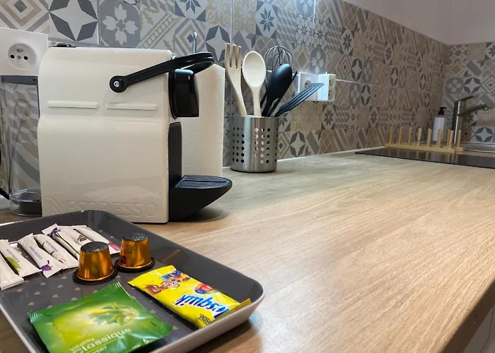 Les Cosy De - Urban Jungle - 4 Etoiles Nancy