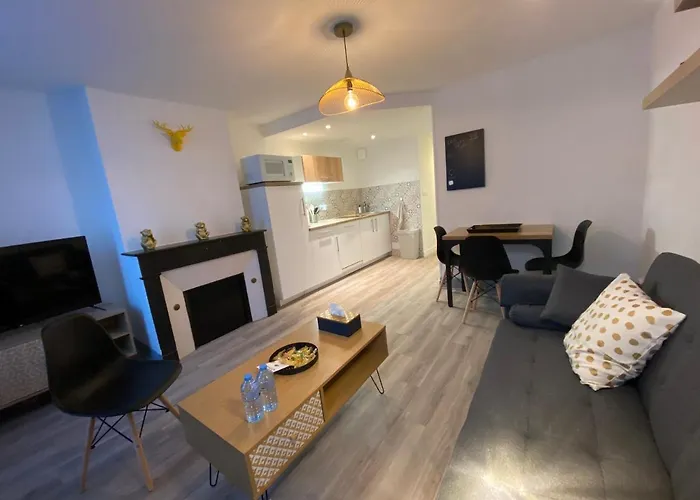 Les Cosy De - Urban Jungle - 4 Etoiles Apartmán Nancy